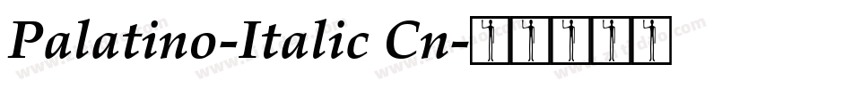 Palatino-Italic Cn字体转换